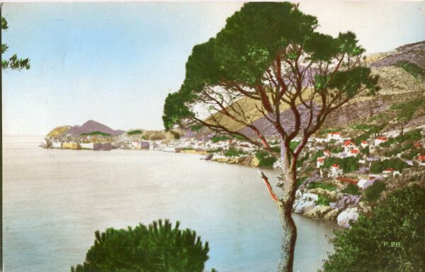 Croatia Dubrovnik Ragusa Postcard