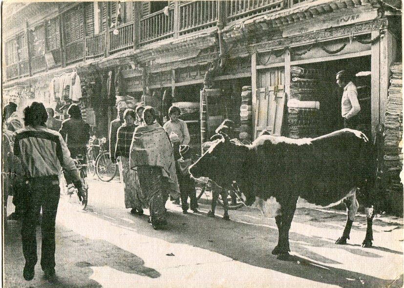 Nepal Kathmandu Street Photocard