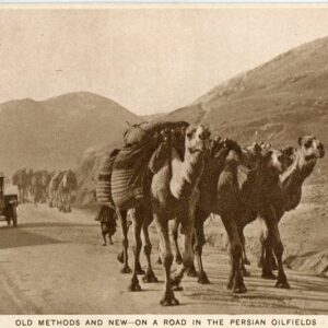 Persia Cars and Camels on Oilfields