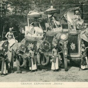 India Elephants Grand Exhibition