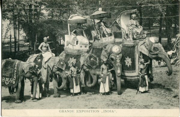 India Elephants Grand Exhibition