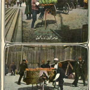 Turkey Lettuce and Bread Sellers ed Fruchtermann