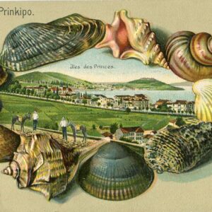 Turkey Prinkipo Princess Island Embossed Postcard