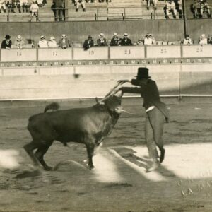 Venezuela La Margarita Bullfighting photo Chirinos