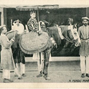 India Hindu Marriage ed Macropolo