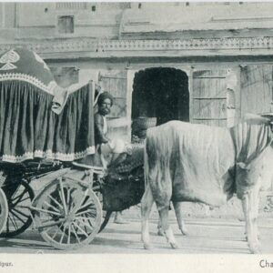 India Jaipur Chariot ed Oodeyram