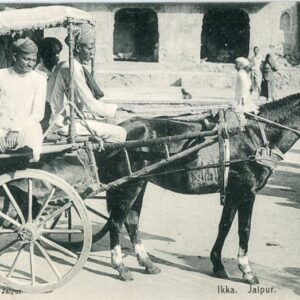 India Jaipur Ikka Ekka Cart ed Oodeyram