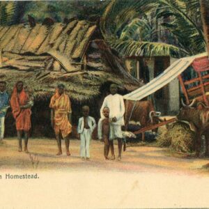 India Indian Homestead