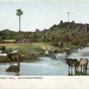 India Secunderabad One Tree Hill