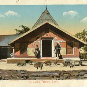 India Jakku Temple Shimla ed Mirza