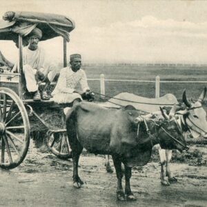 India Reckla Ox Cart