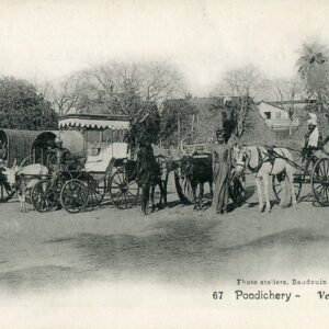 India Pondicherry Puducherry Horse Carts