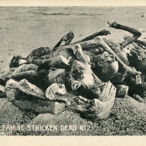 India Burning Famine Stricken Dead 2 ed Macropolo