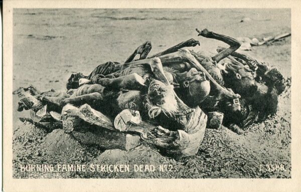 India Burning Famine Stricken Dead 2 ed Macropolo