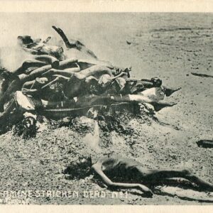 India Burning Famine Stricken Dead 1 ed Macropolo