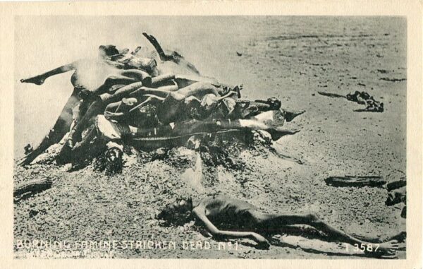 India Burning Famine Stricken Dead 1 ed Macropolo