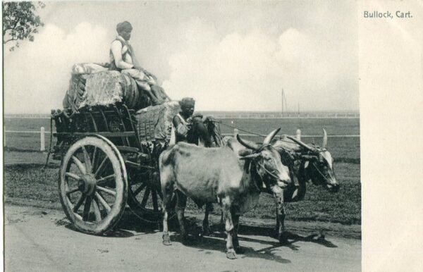 India Bullock Cart