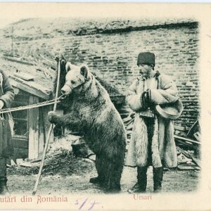 Romania Gypsy Bear Dancing 1899 to Croatia