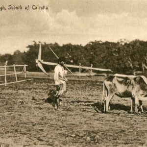 India Calcutta Going to Plough ed Taj Mahal co