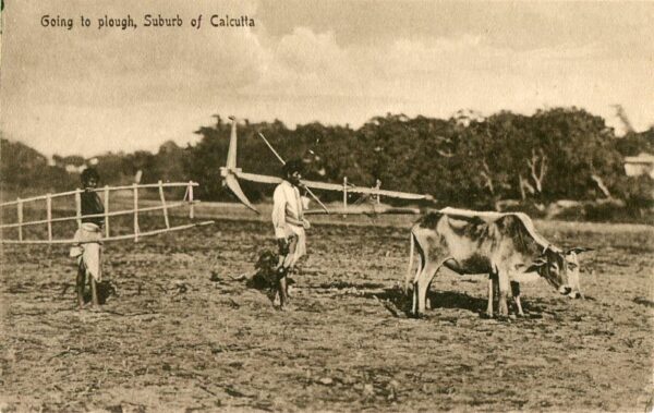 India Calcutta Going to Plough ed Taj Mahal co