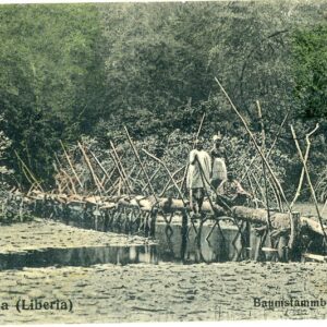 Liberia Monrovia Log Bridge