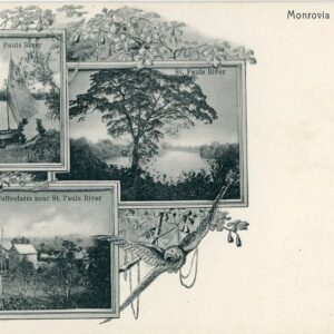 Liberia St Paus River Coffee Farm