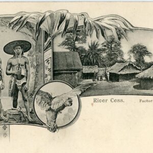 Liberia River Cess Factory multi view