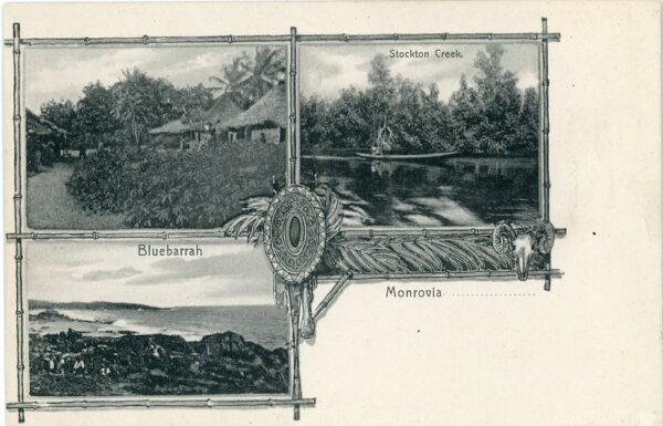 Liberia Bluebarrah Stockton Creek ed Wilhelm Jantzen