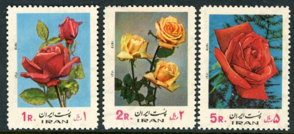 1972 Persia Roses Flowers **
