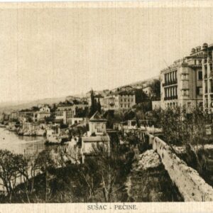 Croatia Susac Pecine 1936 to Cheltenham