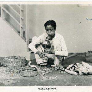 India Snake Charmer photocard