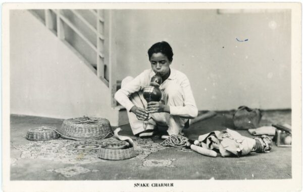 India Snake Charmer photocard