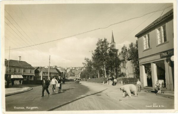 Norway Nordkapp Tromso Polar Bear 1936 to USA ph Enerett Mittet