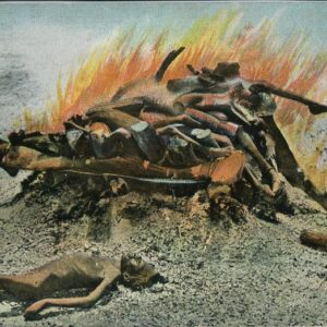 India Hindu Cremation ed Ghoni