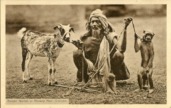 India Calcutta Monkey Man ed Thacker, Spink