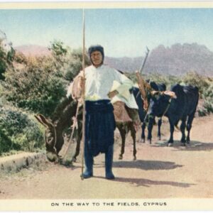 Cyprus Farmer to Fields Donkey Bull ed Tuck