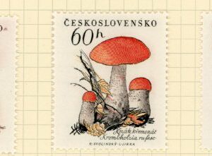 1958 Czechoslovakia Mushrooms *