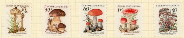 1958 Czechoslovakia Mushrooms *