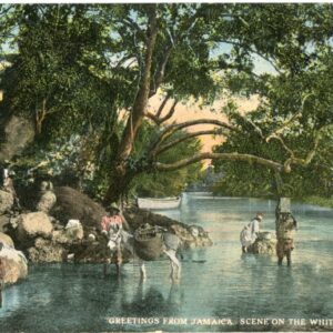 Jamaica Moneague White River St Anns 1903 to USA ed Duperly