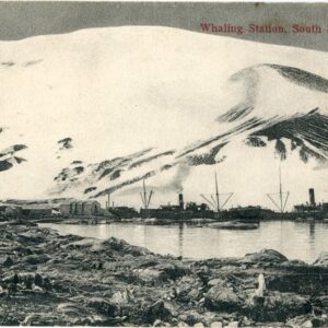 Falkland Islands Shetlands Whaling Station