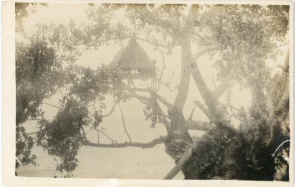 Papua New Guinea Korowai Tree House