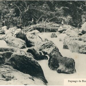 Papua New Guinea River Landscape