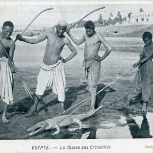 Egypt Crocodile Hunt ed Peridis