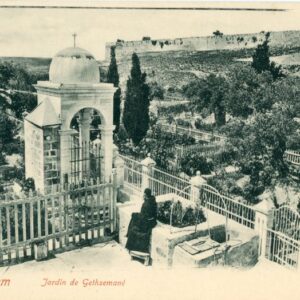 Palestine Jerusalem Garden of Gethsemane ed Vester