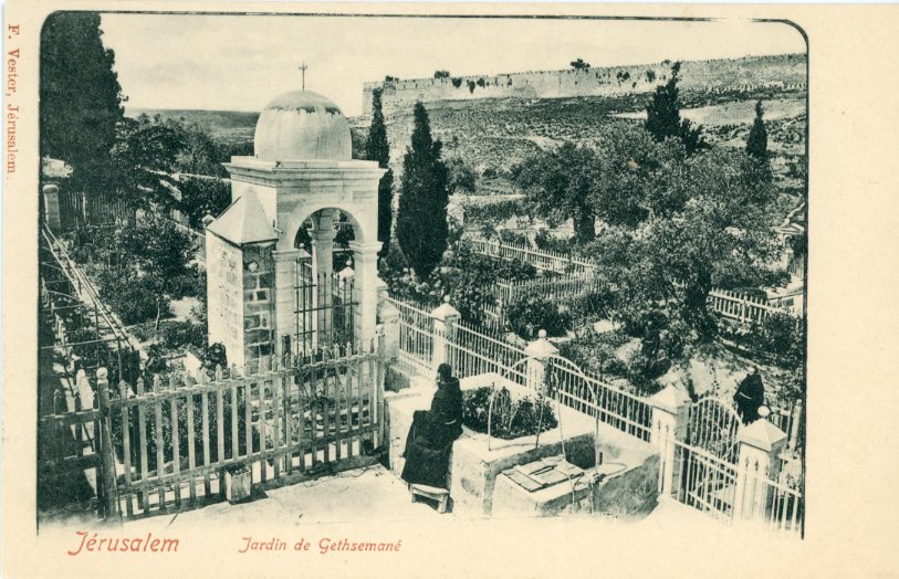 Palestine Jerusalem Garden of Gethsemane ed Vester