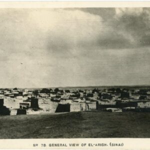 Palestine El Arish Sinai View photocard