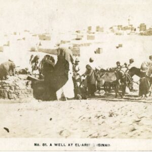 Palestine Well at El Arish Sinai photocard