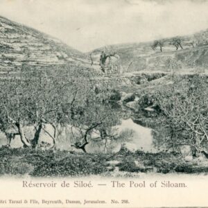 Palestine The Pool of Siloam ed Tarazi