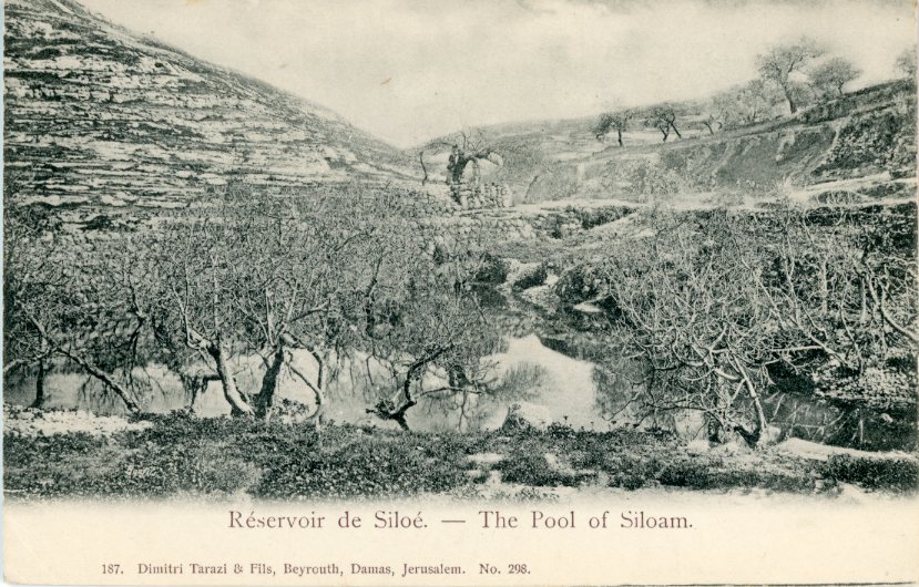 Palestine The Pool of Siloam ed Tarazi