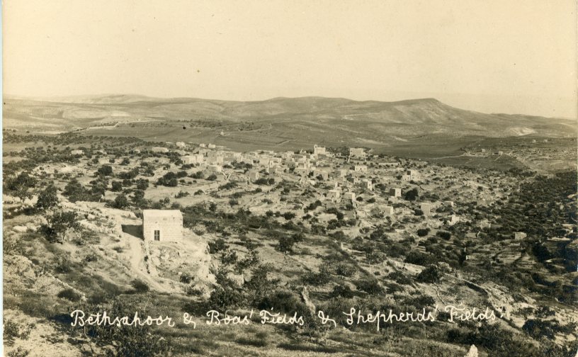 Palestine Beit Sahur Boaz and Shepperd's Fields